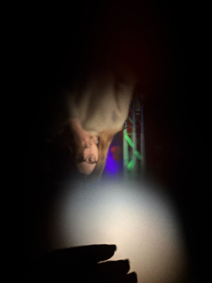 Inverted figure with vignetting