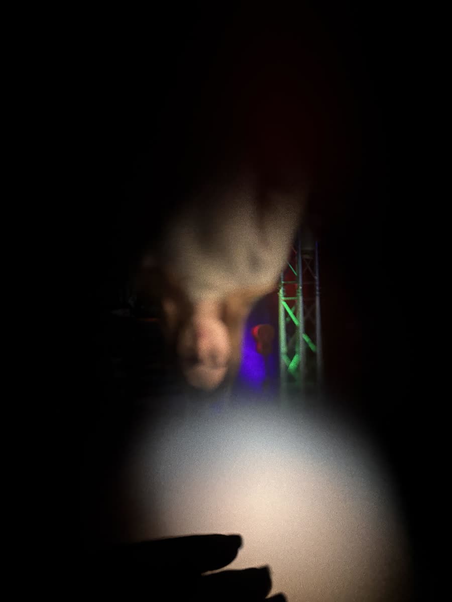 Inverted figure, focus pulled